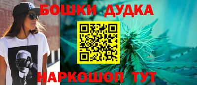 индика Ярцево
